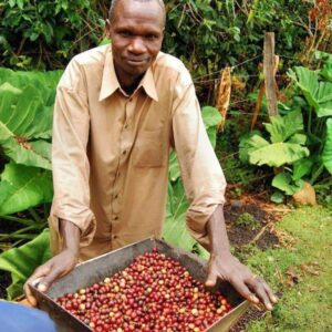 kenya nyeri